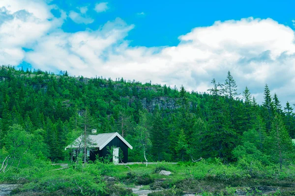 Norveç'te bir kamp çim çatı ahşap kabin — Stok fotoğraf