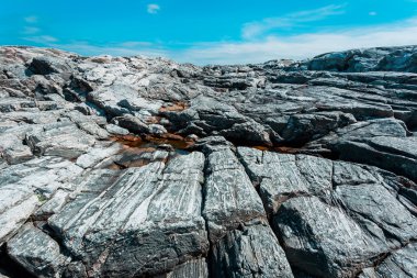 Devler causeway adlı Kuzey Denizi
