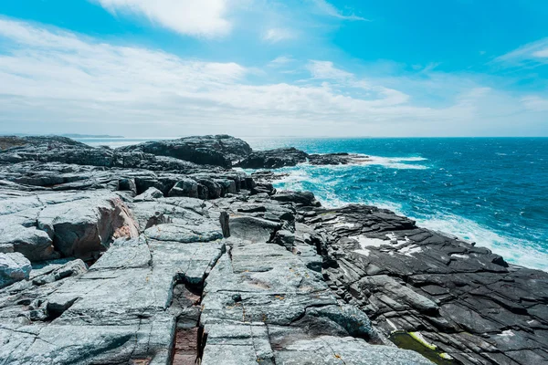 Giant's causeway na Morzu Północnym — Zdjęcie stockowe