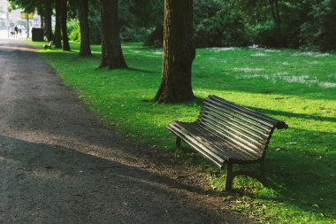 Yemyeşil yeşil bir park alanı yaz aylarında ahşap Bank