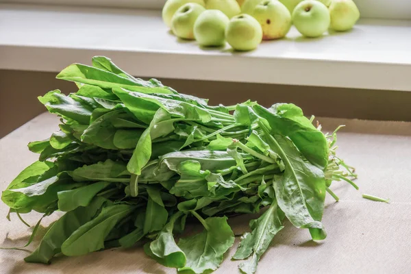 Stillleben Ein Bündel Sauerampfer Auf Dem Tisch Und Äpfel — Stockfoto