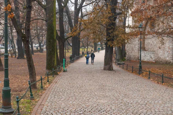 Polska Kraków Krajobraz Jesień Park Ścieżka Prowadząca Oddali Ludzie Chodzą — Zdjęcie stockowe