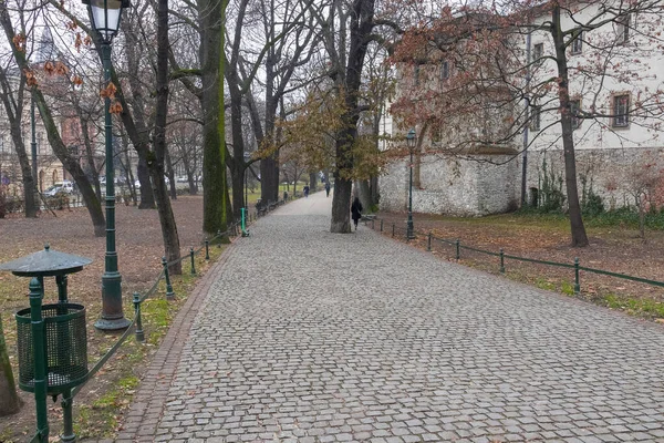 Polonia Cracovia Paisaje Otoñal Parque Callejón Bordeado Losas Pavimentación —  Fotos de Stock