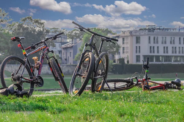 Paysage Été Herbe Verte Ciel Bleu Vélos Sur Fond Parc — Photo