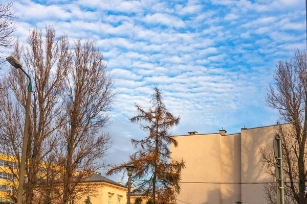 Automne Paysage Urbain Immeubles Grande Hauteur Ciel Bleu Nuageux Arbres — Photo