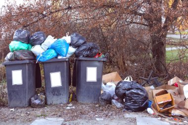 Sokakta bir ağacın altında içi çöp dolu plastik çöp tenekeleri var.