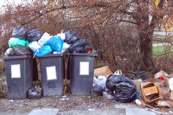 Plastic Garbage Cans Street Tree Full Garbage — Stock Photo, Image