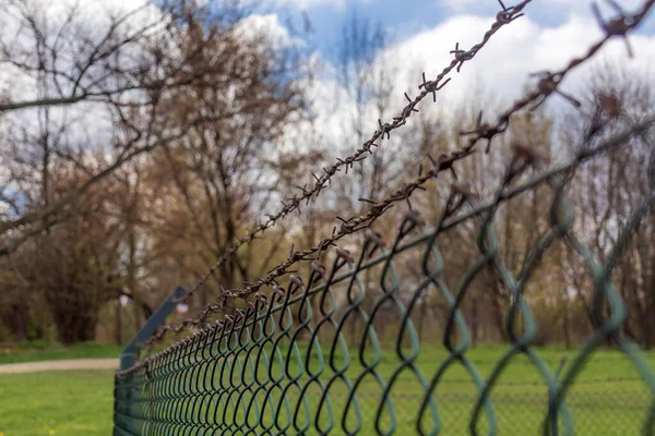 metal mesh and barbed wire fence against the background of blue sky and green grass