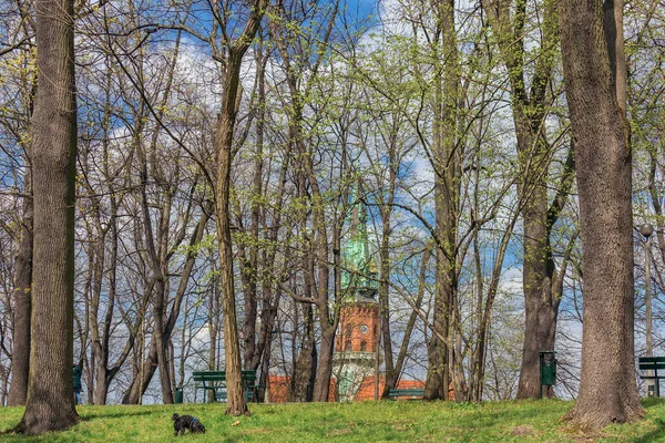 Polska Kraków Stary Park Kościół Katolicki Oddali Wiosna Miejska — Zdjęcie stockowe