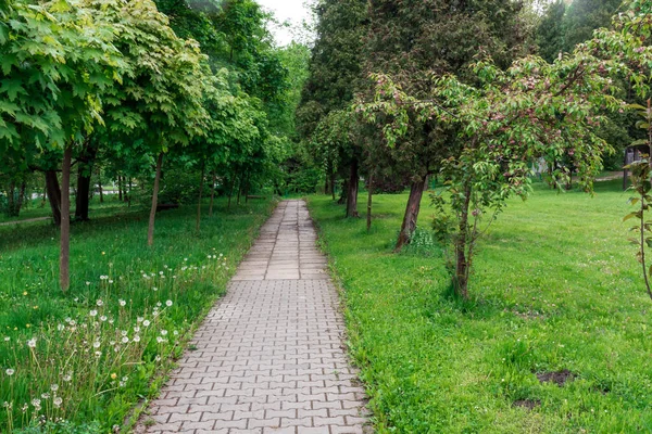 Poland Krakow Green Spring Park Paved Footpath — Zdjęcie stockowe