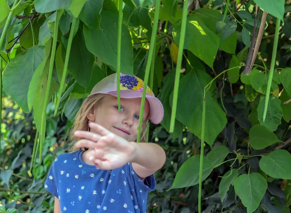 Little Girl Years Old Blonde Cap Hiding Tree Portrait Preschooler — Foto Stock