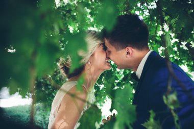 Poz güzel düğün çifti