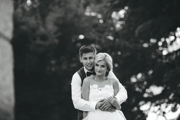 Hermosa pareja de boda abrazándose en el parque — Foto de Stock