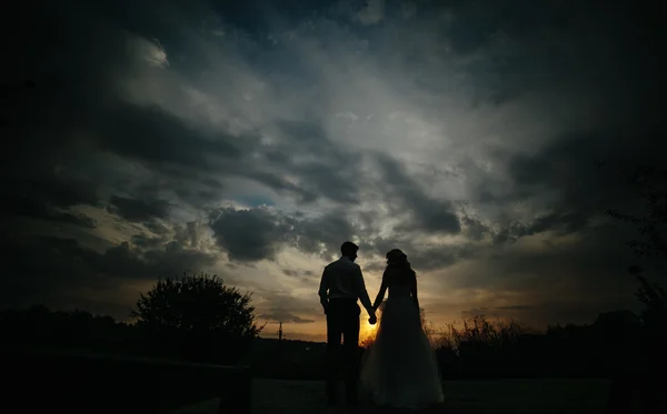 Silhouette de couple de mariage dans le domaine — Photo