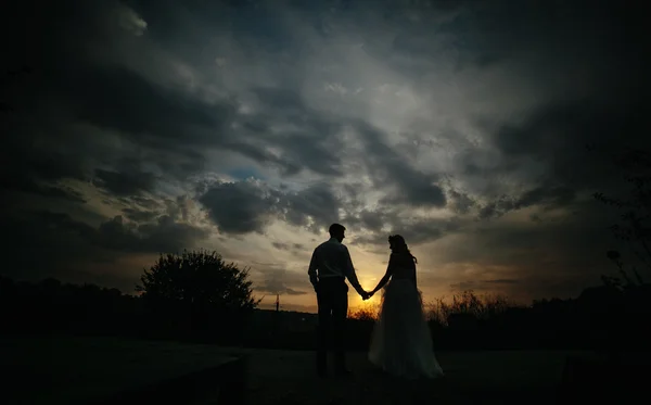 Silhouette de couple de mariage dans le domaine — Photo