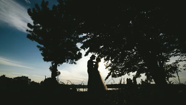 Marié debout dans le parc — Photo