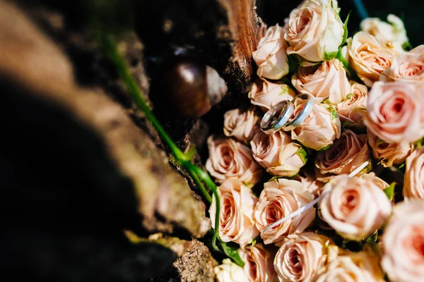 Обручки з квітом і равликом — стокове фото