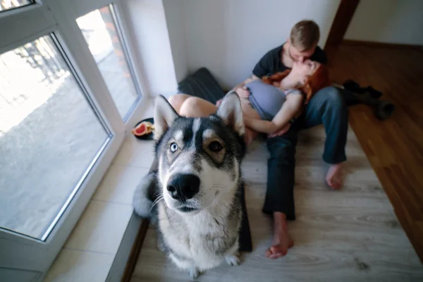 Famiglia giovane e cane — Foto Stock