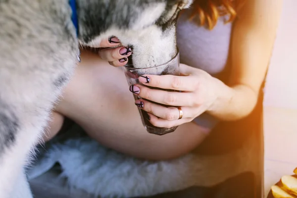 Женщина кормит собаку — стоковое фото