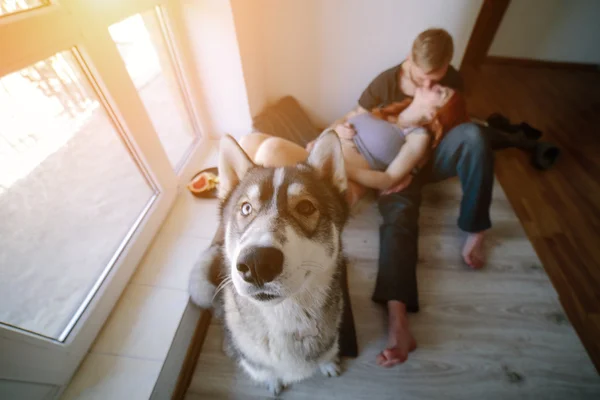 Jonge familie en hond — Stockfoto