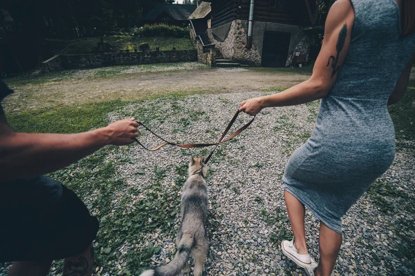 Paar läuft mit Hund in der Natur — Stockfoto