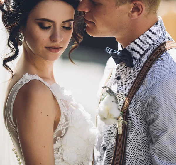 La sposa e lo sposo posa — Foto Stock