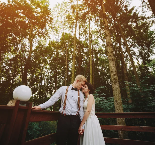 Noiva e noivo posando na varanda — Fotografia de Stock