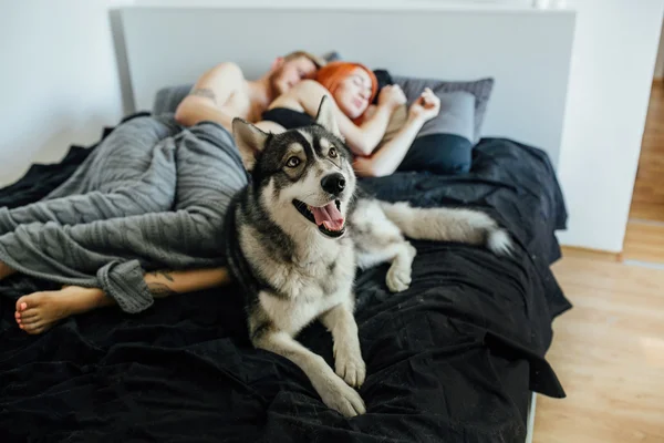 Mujer embarazada, hombre y perro acostados en una cama — Foto de Stock