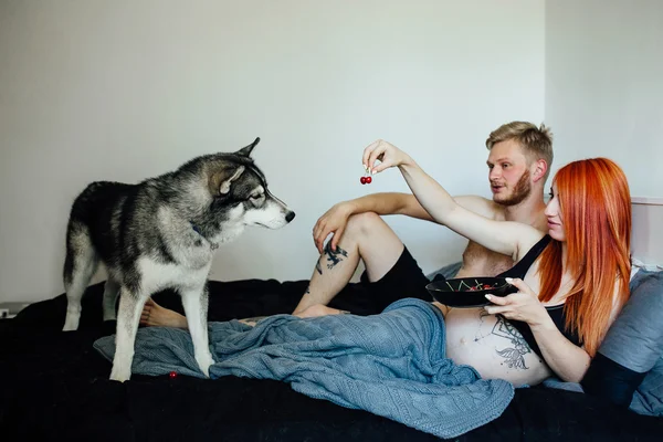 임신한 여자, 남자와 개는 침대에 누워 — 스톡 사진