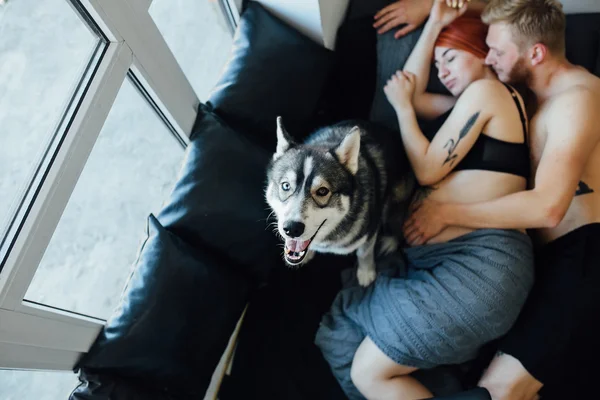 Donna incinta, uomo e cane sdraiati su un letto — Foto Stock