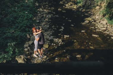 güzel birkaç orman arka planda