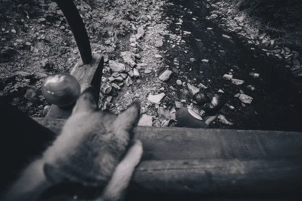 Beau couple sur le fond de forêt — Photo