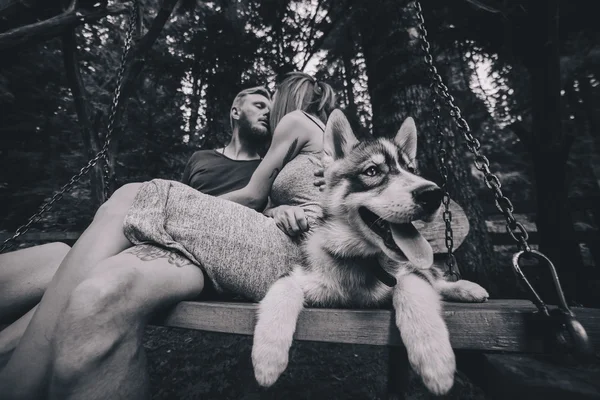 Hermosa pareja junto con perro en un columpio — Foto de Stock