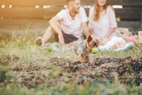 Lycklig familj på gräsmattan i parken — Stockfoto