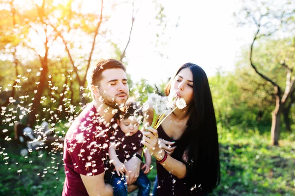 Giovane famiglia con un bambino sulla natura — Foto Stock