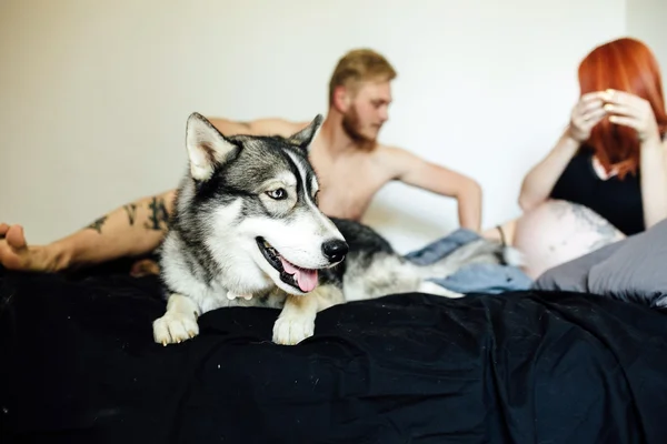 Hamile kadın, bir adam ve bir yatakta yatarken köpek — Stok fotoğraf