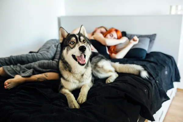 Mulher grávida, homem e cão deitados em uma cama — Fotografia de Stock