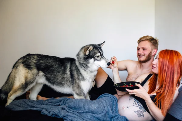 Mujer embarazada, hombre y perro acostados en una cama — Foto de Stock