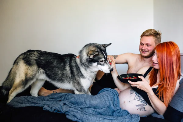 Schwangere, Mann und Hund liegen auf einem Bett — Stockfoto