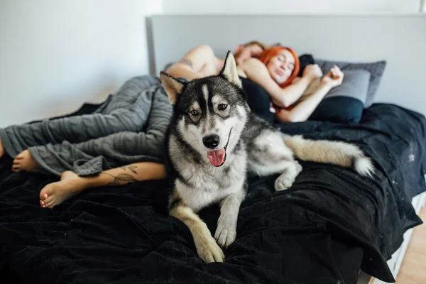 Беременная женщина, мужчина и собака лежат на кровати — стоковое фото