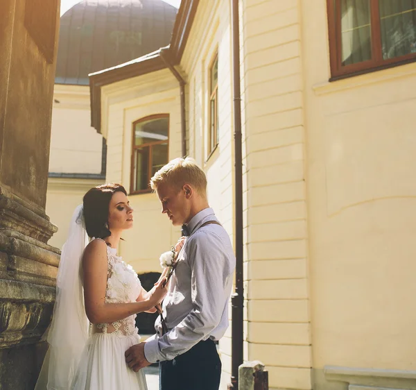 De bruid en bruidegom poseren — Stockfoto
