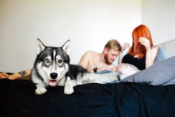 Mujer embarazada, hombre y perro —  Fotos de Stock