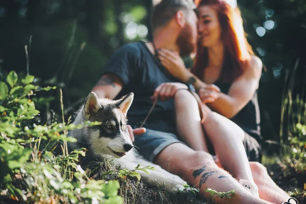 Beautiful couple sitting in a forest near the tree — Stock Photo, Image