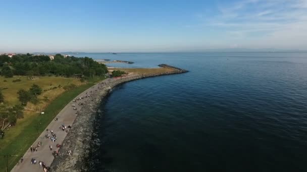 Aerial shot of shore sea — Stock Video