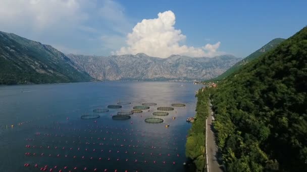 Montenegro, bay air shooting — Stock Video