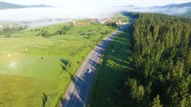 Plano aéreo del coche en la carretera — Vídeo de stock