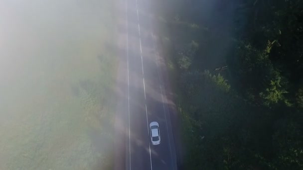 Letecký snímek auto na silnici — Stock video