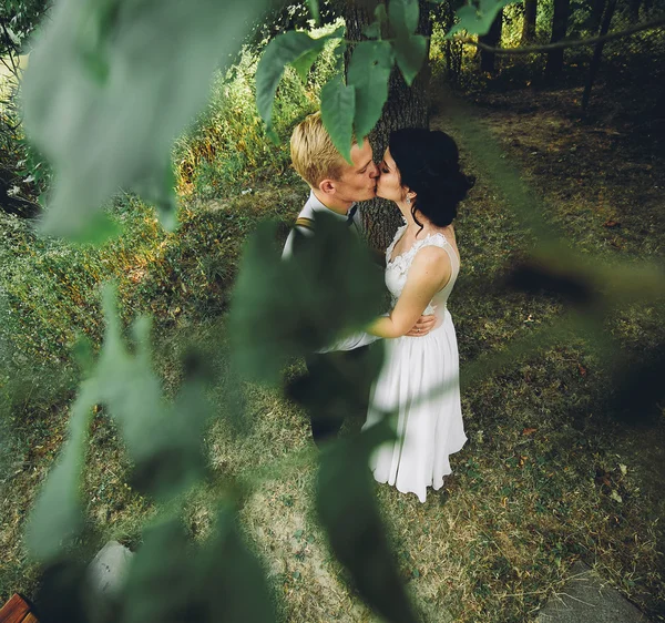 美しい結婚式のカップルのポーズ — ストック写真