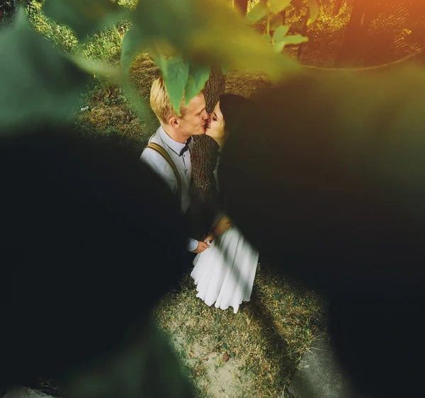 Beautiful wedding couple posing — Stock Photo, Image