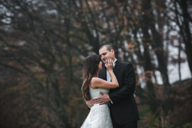 mutlu gelin ve damat sonbahar ormanda poz